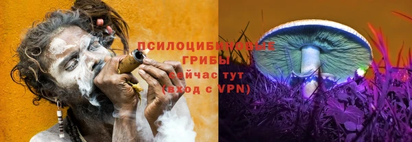 винт Пролетарск