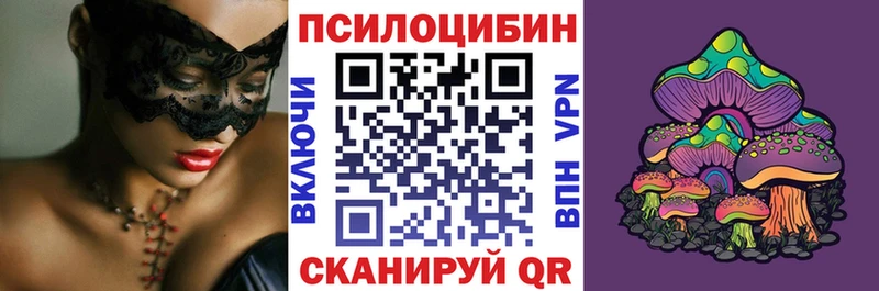 что такое Тайга Галлюциногенные грибы MAGIC MUSHROOMS