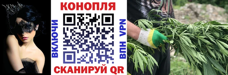 сайты даркнета телеграм  что такое   Тайга  Канабис марихуана 